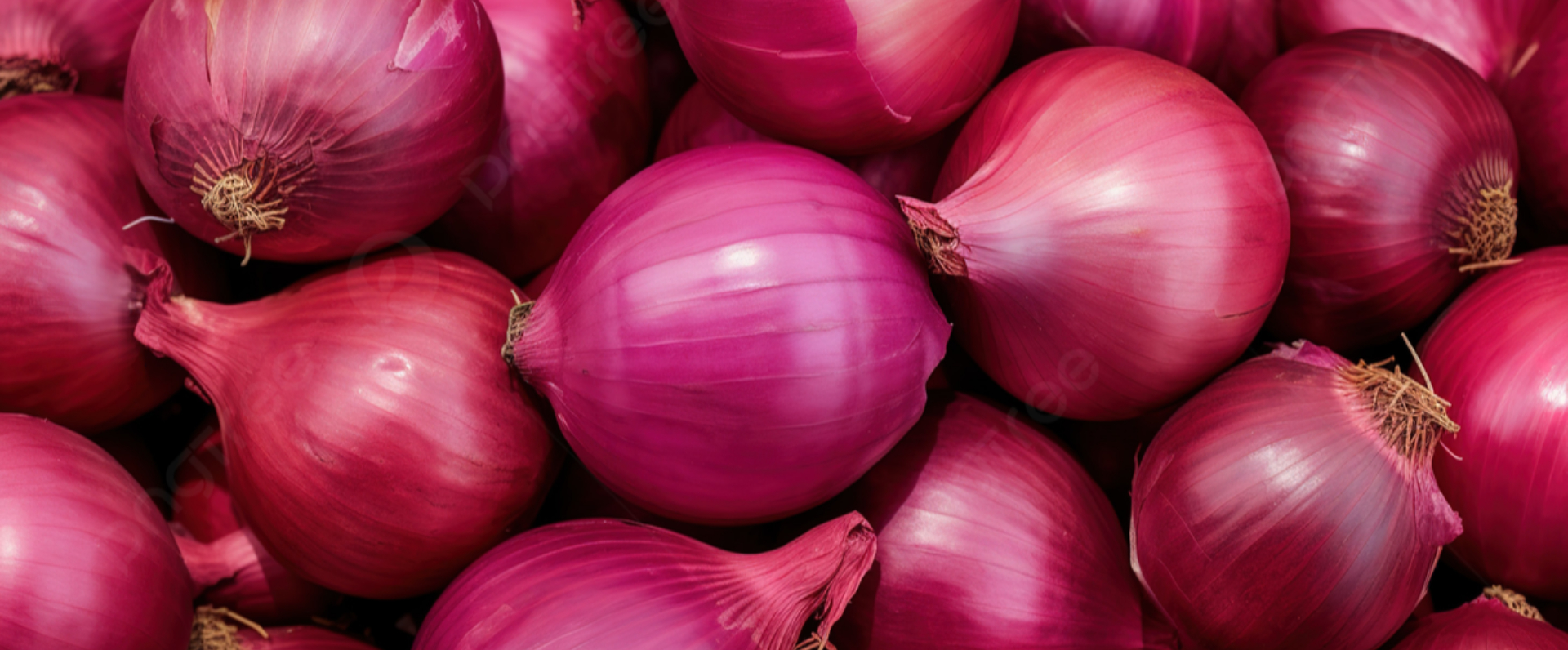 Red Onions Slide
